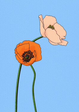 Katharina Noemi Metschl