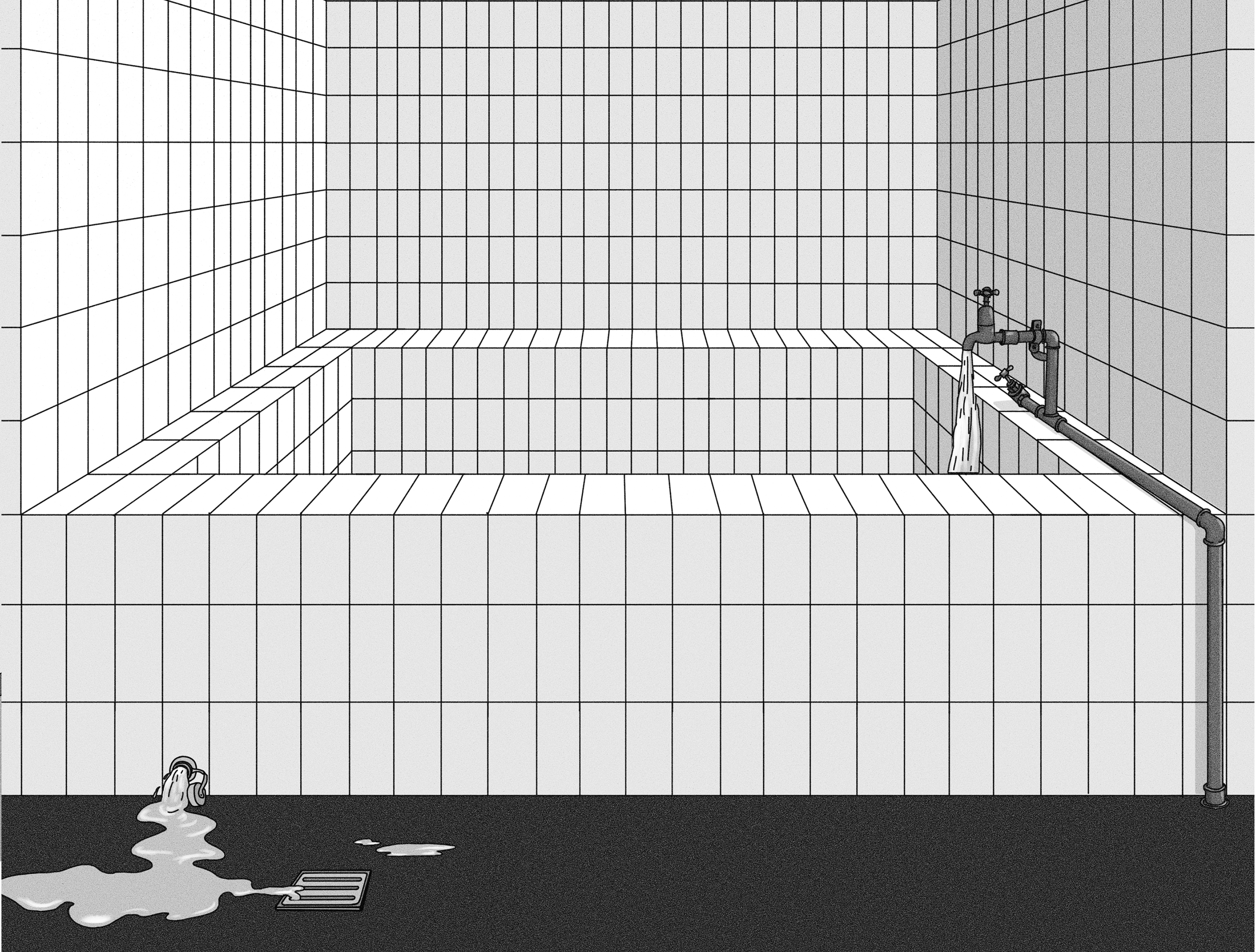 Katharina Noemi Metschl