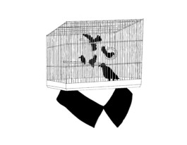 Katharina Noemi Metschl